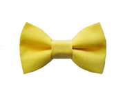 Yellow Bow Tie - Newborn To Adult Sizes
