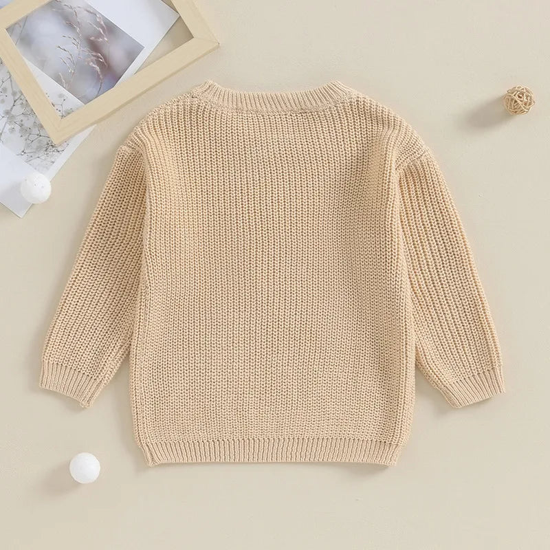 Toddler boy sweater with letter embroidery, long sleeve knit