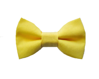 Yellowbowtienewborntoadultsize.png