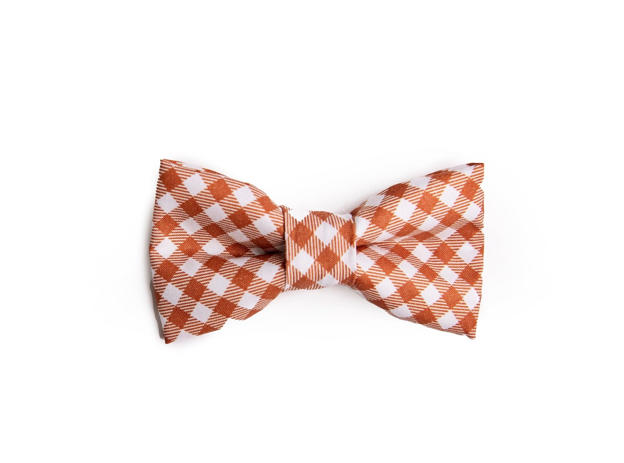 cinammonterracottacheckeredbowtie.jpg